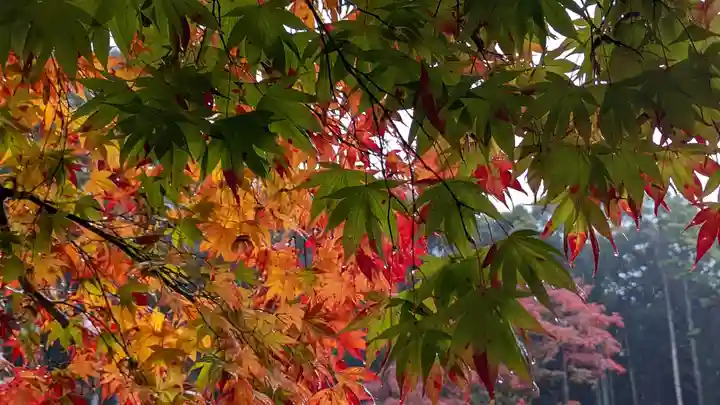 大原野神社(京都府)