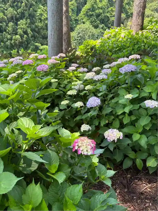 市杵島神社(高萩八幡宮境内社)(茨城県)