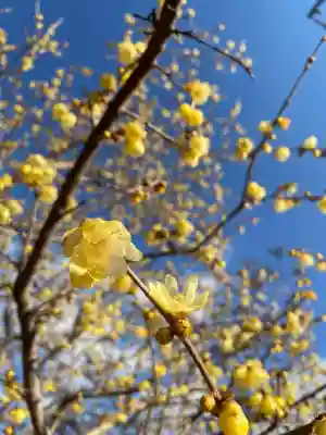 羽黒山神社の{uncategorized: "未分類", other: "その他", undefined: "問題あり", building: "その他建物", grave: "お墓", sacred_gate: "鳥居", guardian: "狛犬", statue: "像", buddha: "仏像", history: "歴史", nature: "自然", garden: "庭園", animal: "動物", pagoda: "塔", temizu: "手水舎", mountain_gate: "山門・神門", sanctuary: "本殿・本堂", subordinate: "末社・摂社", art: "芸術", scenery: "景色", jizo: "地蔵", ema: "絵馬", goshuin: "御朱印", omikuji: "おみくじ", items: "授与品その他", amulet: "お守り", goshuincho: "御朱印帳", eats: "食事", festival: "お祭り", votive_dance: "神楽", shichigosan: "七五三参", wedding: "結婚式", experience: "体験その他", initially: "初詣", around: "周辺", anti_infection: "感染症対策"}