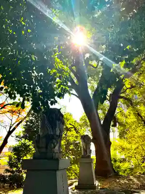 三栖神社(京都府)