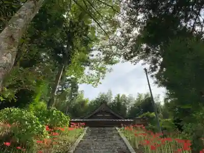 八幡神社のその他建物
