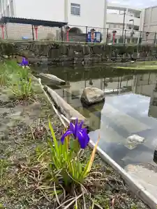 杭全神社(大阪府)(2024年04月12日(金) 17時39分52秒投稿)