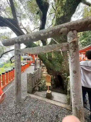 熊野那智大社(和歌山県)