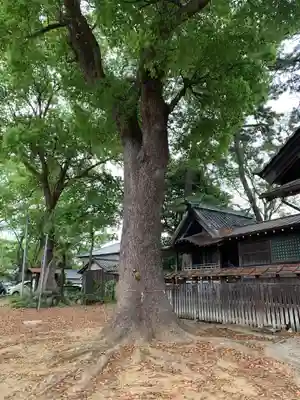 神明社(千葉県)