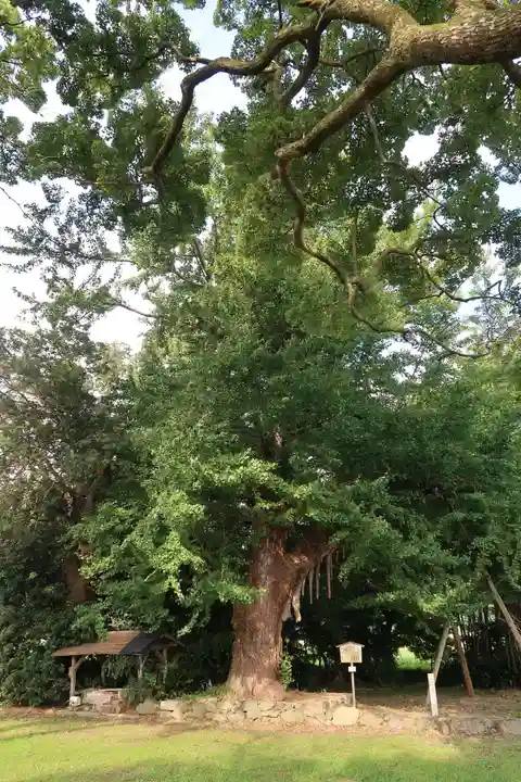 國分寺(国分寺)(京都府)