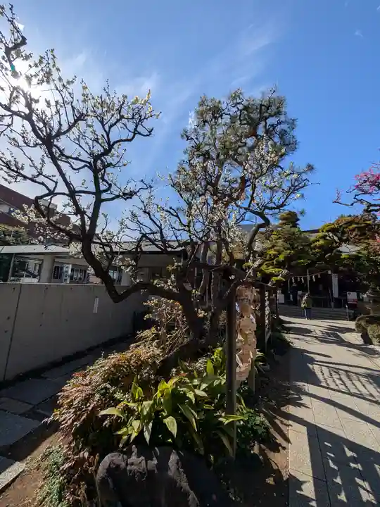 鳩森八幡神社(東京都)