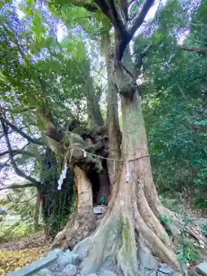 高良神社(京都府)