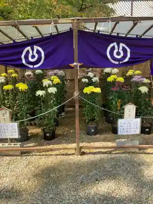 道明寺天満宮(大阪府)