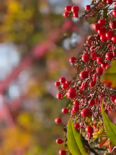 差出磯大嶽山神社 仕事と健康と厄よけの神さまの自然