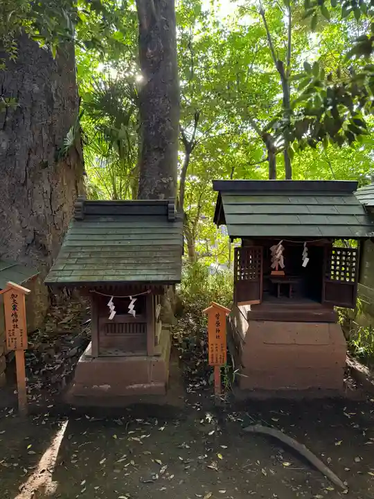 川越氷川神社(埼玉県)