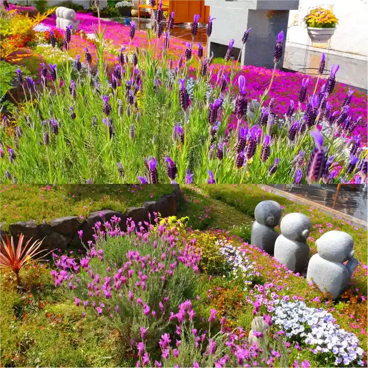 寿量山 速成寺のお墓