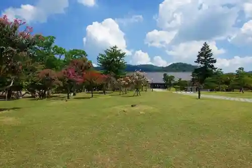 東南院（東大寺本坊）の庭園