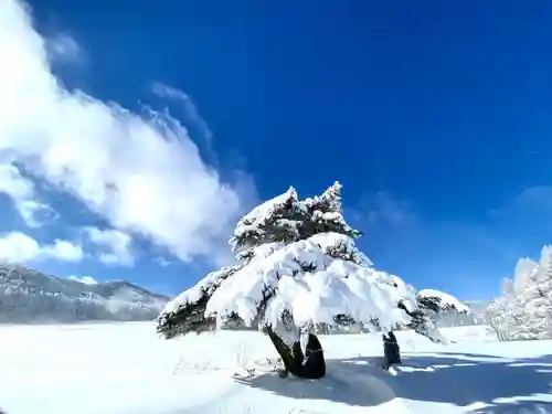 道光神社の自然