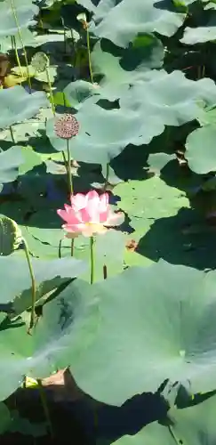 法華経寺(千葉県)