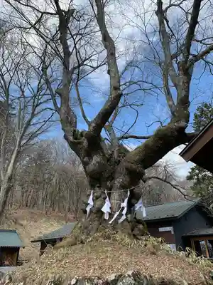 熊野皇大神社(長野県)