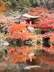 醍醐寺(京都府)