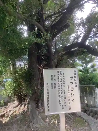 高田寺の自然
