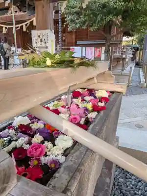 鳩森八幡神社(東京都)