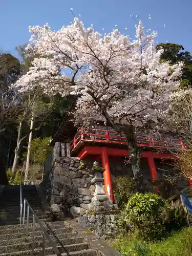 小夫天神社の自然