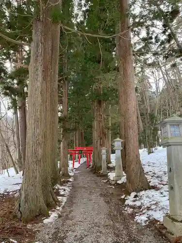 桜松神社の自然