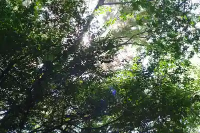 廣瀬大社(奈良県)