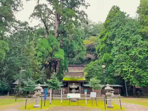 若狭姫神社（若狭彦神社下社）(福井県)