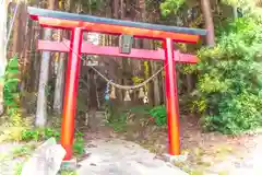 諏訪神社の鳥居