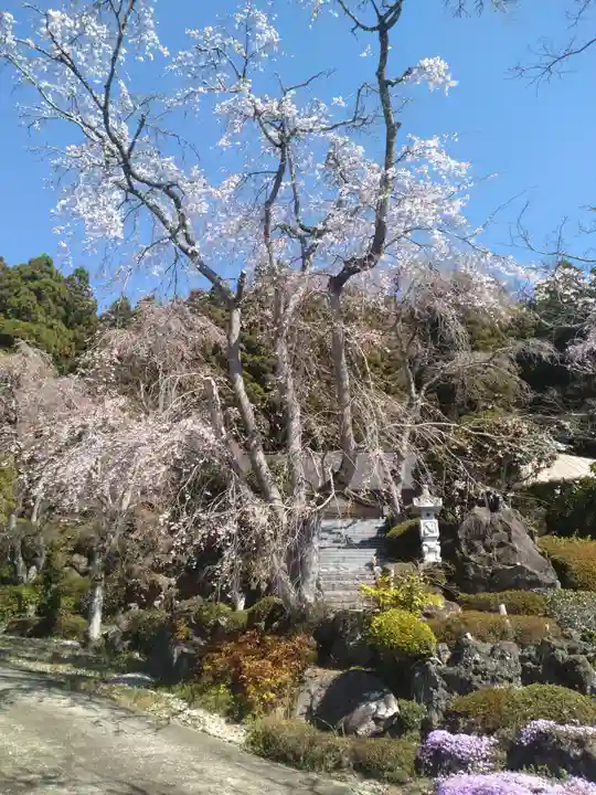 保寿寺(宮城県)