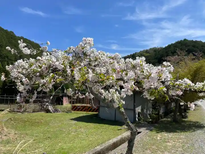 平岡八幡宮(京都府)