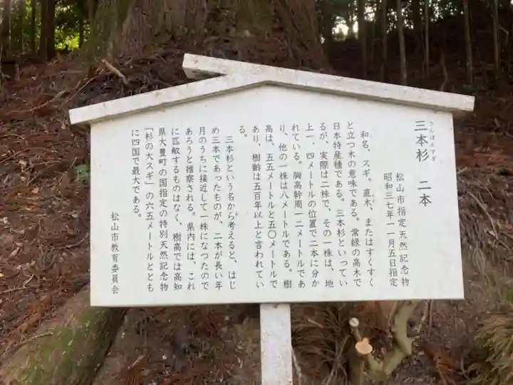 新宮神社の歴史
