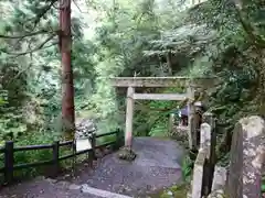 元伊勢天岩戸神社の鳥居