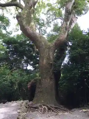葭原神社(皇大神宮末社)の自然