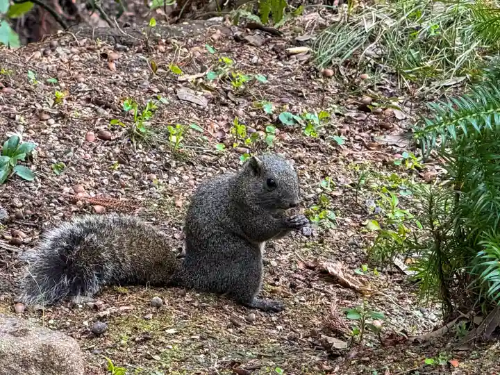 円覚寺の{uncategorized: "未分類", other: "その他", undefined: "問題あり", building: "その他建物", grave: "お墓", sacred_gate: "鳥居", guardian: "狛犬", statue: "像", buddha: "仏像", history: "歴史", nature: "自然", garden: "庭園", animal: "動物", pagoda: "塔", temizu: "手水舎", mountain_gate: "山門・神門", sanctuary: "本殿・本堂", subordinate: "末社・摂社", art: "芸術", scenery: "景色", jizo: "地蔵", ema: "絵馬", goshuin: "御朱印", omikuji: "おみくじ", items: "授与品その他", amulet: "お守り", goshuincho: "御朱印帳", eats: "食事", festival: "お祭り", votive_dance: "神楽", shichigosan: "七五三参", wedding: "結婚式", experience: "体験その他", initially: "初詣", around: "周辺", anti_infection: "感染症対策"}
