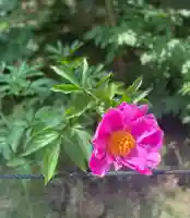 多聞院(埼玉県)