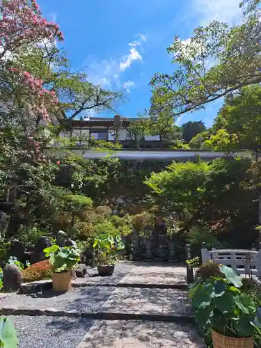 岡寺（龍蓋寺）の御朱印