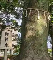 伊福部神社の{uncategorized: "未分類", other: "その他", undefined: "問題あり", building: "その他建物", grave: "お墓", sacred_gate: "鳥居", guardian: "狛犬", statue: "像", buddha: "仏像", history: "歴史", nature: "自然", garden: "庭園", animal: "動物", pagoda: "塔", temizu: "手水舎", mountain_gate: "山門・神門", sanctuary: "本殿・本堂", subordinate: "末社・摂社", art: "芸術", scenery: "景色", jizo: "地蔵", ema: "絵馬", goshuin: "御朱印", omikuji: "おみくじ", items: "授与品その他", amulet: "お守り", goshuincho: "御朱印帳", eats: "食事", festival: "お祭り", votive_dance: "神楽", shichigosan: "七五三参", wedding: "結婚式", experience: "体験その他", initially: "初詣", around: "周辺", anti_infection: "感染症対策"}
