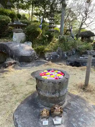 山﨑八幡宮の{uncategorized: "未分類", other: "その他", undefined: "問題あり", building: "その他建物", grave: "お墓", sacred_gate: "鳥居", guardian: "狛犬", statue: "像", buddha: "仏像", history: "歴史", nature: "自然", garden: "庭園", animal: "動物", pagoda: "塔", temizu: "手水舎", mountain_gate: "山門・神門", sanctuary: "本殿・本堂", subordinate: "末社・摂社", art: "芸術", scenery: "景色", jizo: "地蔵", ema: "絵馬", goshuin: "御朱印", omikuji: "おみくじ", items: "授与品その他", amulet: "お守り", goshuincho: "御朱印帳", eats: "食事", festival: "お祭り", votive_dance: "神楽", shichigosan: "七五三参", wedding: "結婚式", experience: "体験その他", initially: "初詣", around: "周辺", anti_infection: "感染症対策"}