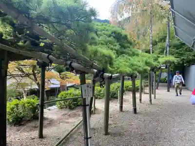 善峯寺(京都府)