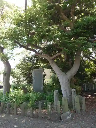 加茂神社(静岡県)