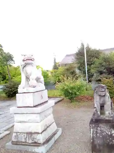 古尾谷八幡神社の狛犬