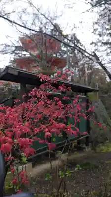正法寺(京都府)