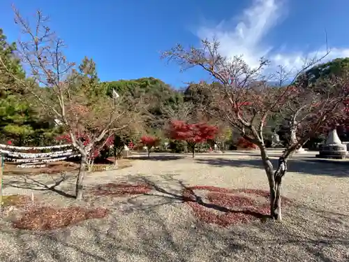 京都乃木神社(京都府)
