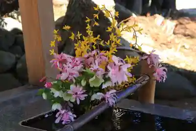 高司神社〜むすびの神の鎮まる社〜の手水舎
