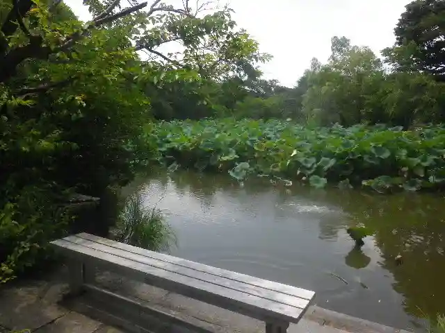 鶴岡八幡宮の庭園