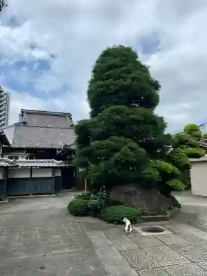玉蔵院(埼玉県)
