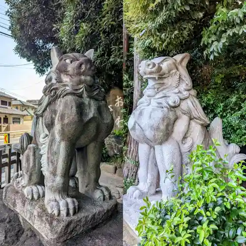 駒木諏訪神社の狛犬