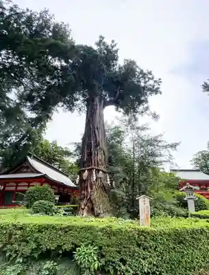 香取神宮(千葉県)
