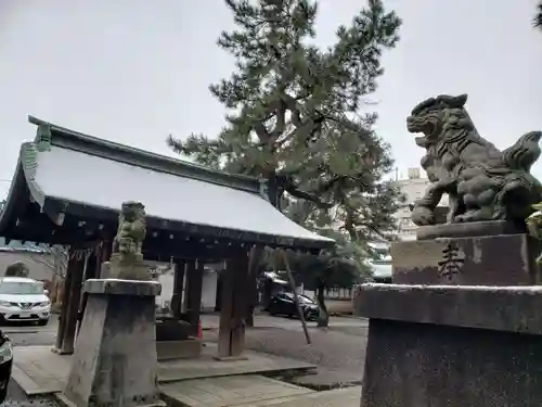 安江八幡宮の狛犬