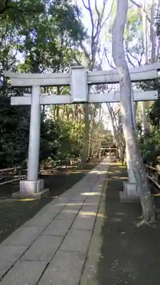 喜多見氷川神社の鳥居