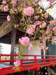 大野神社(埼玉県)